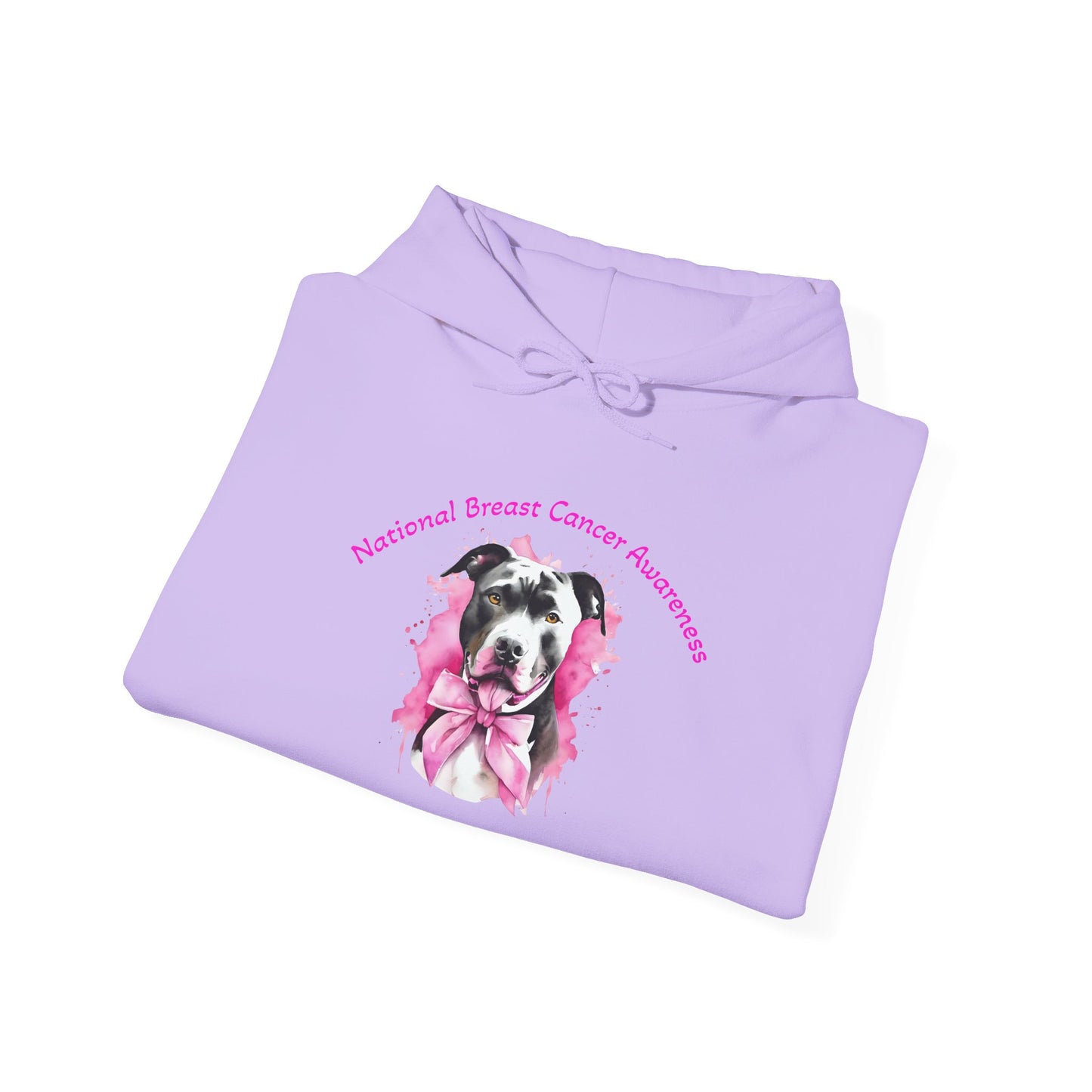 Bully and Brave Breast Cancer Awareness Hoodie