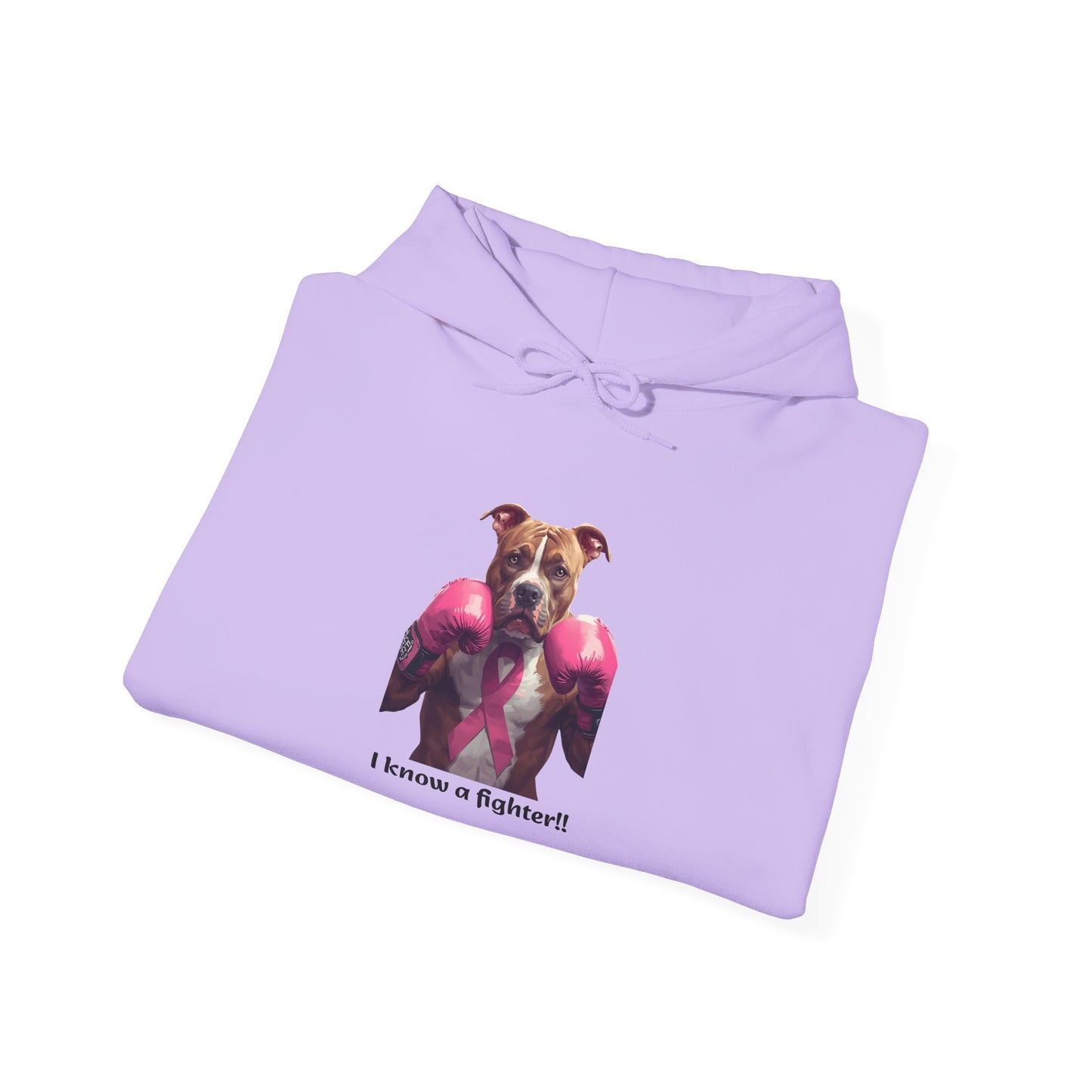 Bully Fighter Cancer Survivor Hoodie — Support & Awareness Sweatshirt