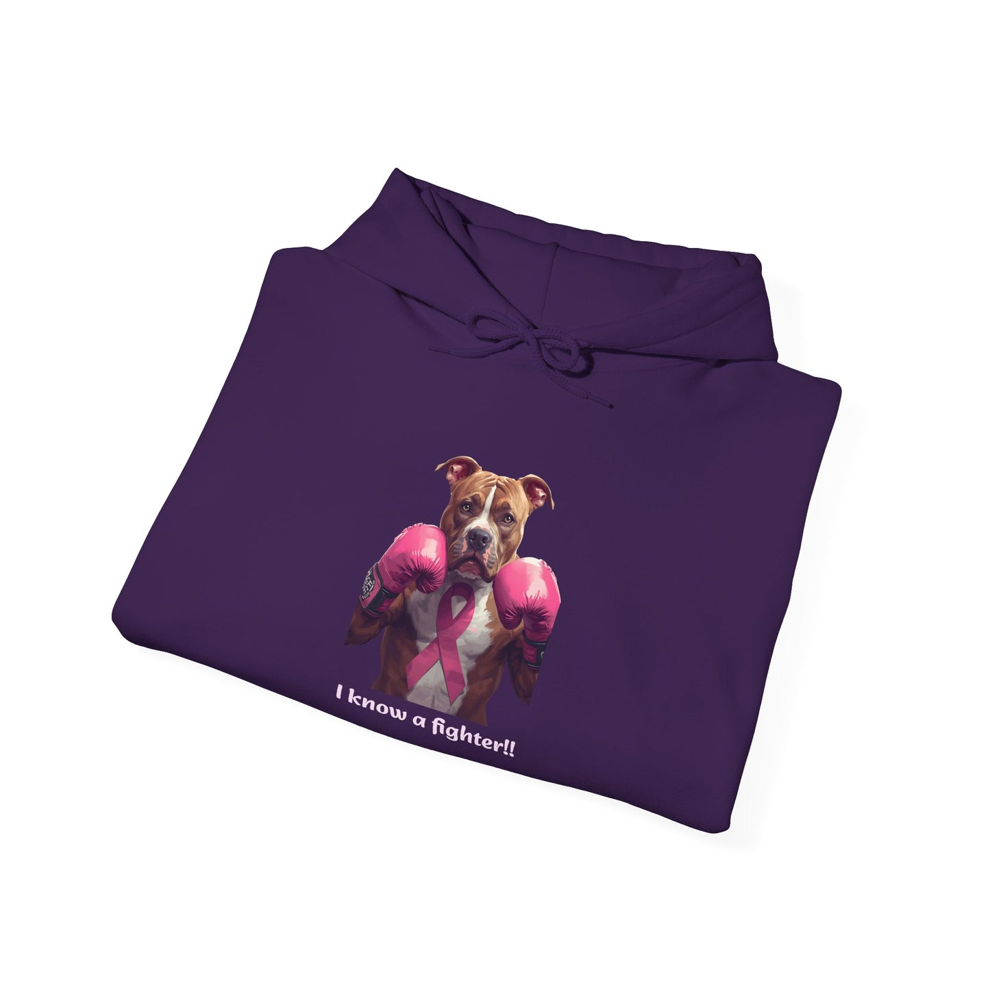 Bully Fighter Cancer Survivor Hoodie — Support & Awareness Sweatshirt