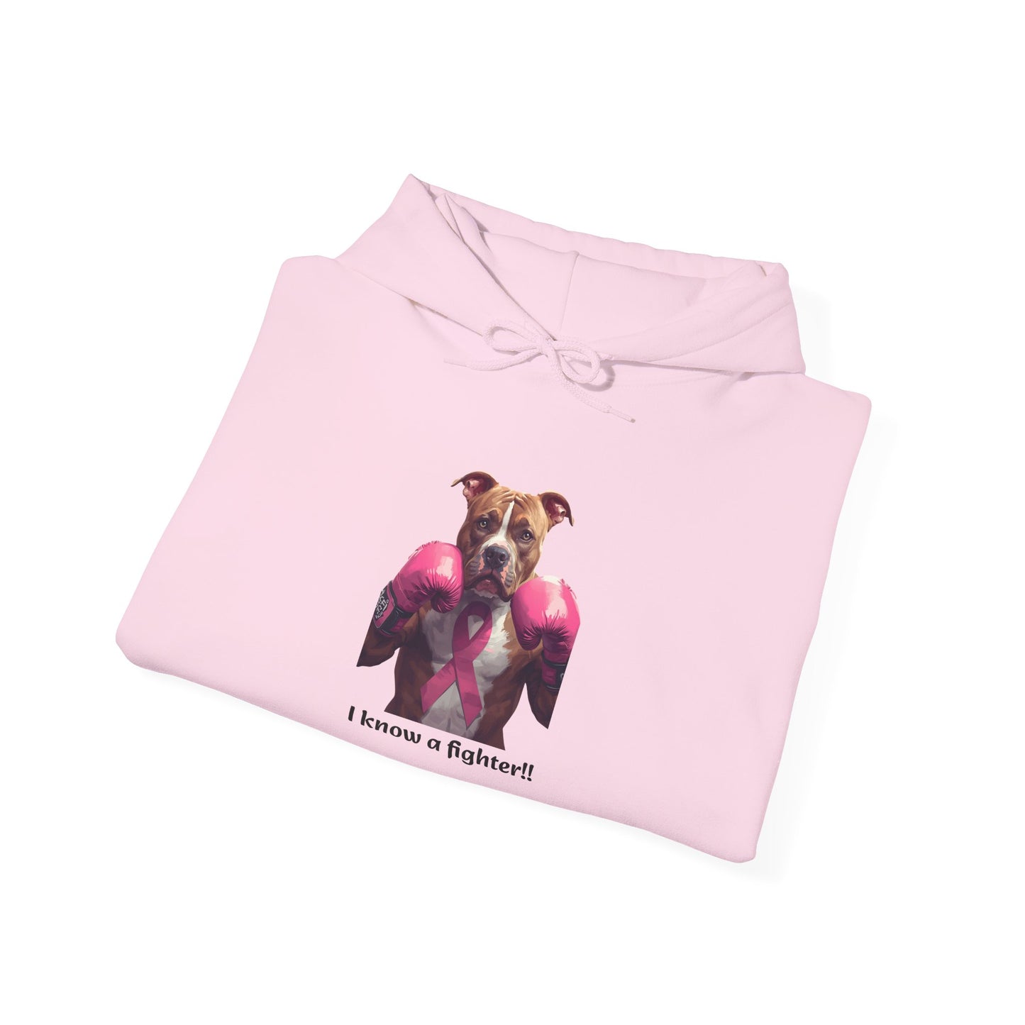 Bully Fighter Cancer Survivor Hoodie — Support & Awareness Sweatshirt