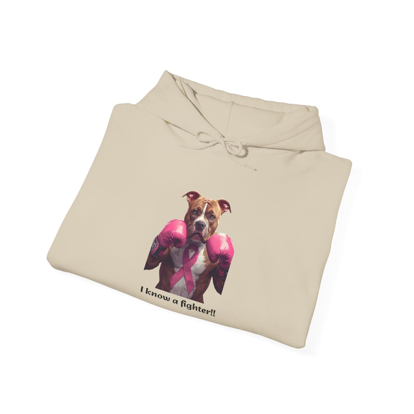 Bully Fighter Cancer Survivor Hoodie — Support & Awareness Sweatshirt