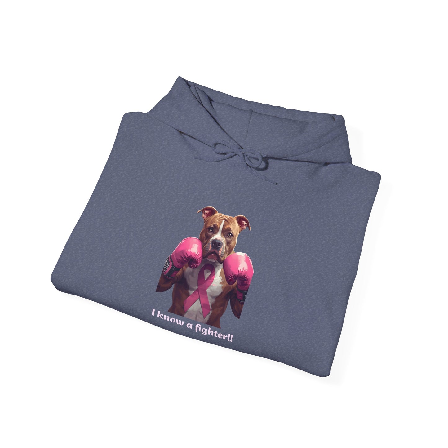 Bully Fighter Cancer Survivor Hoodie — Support & Awareness Sweatshirt