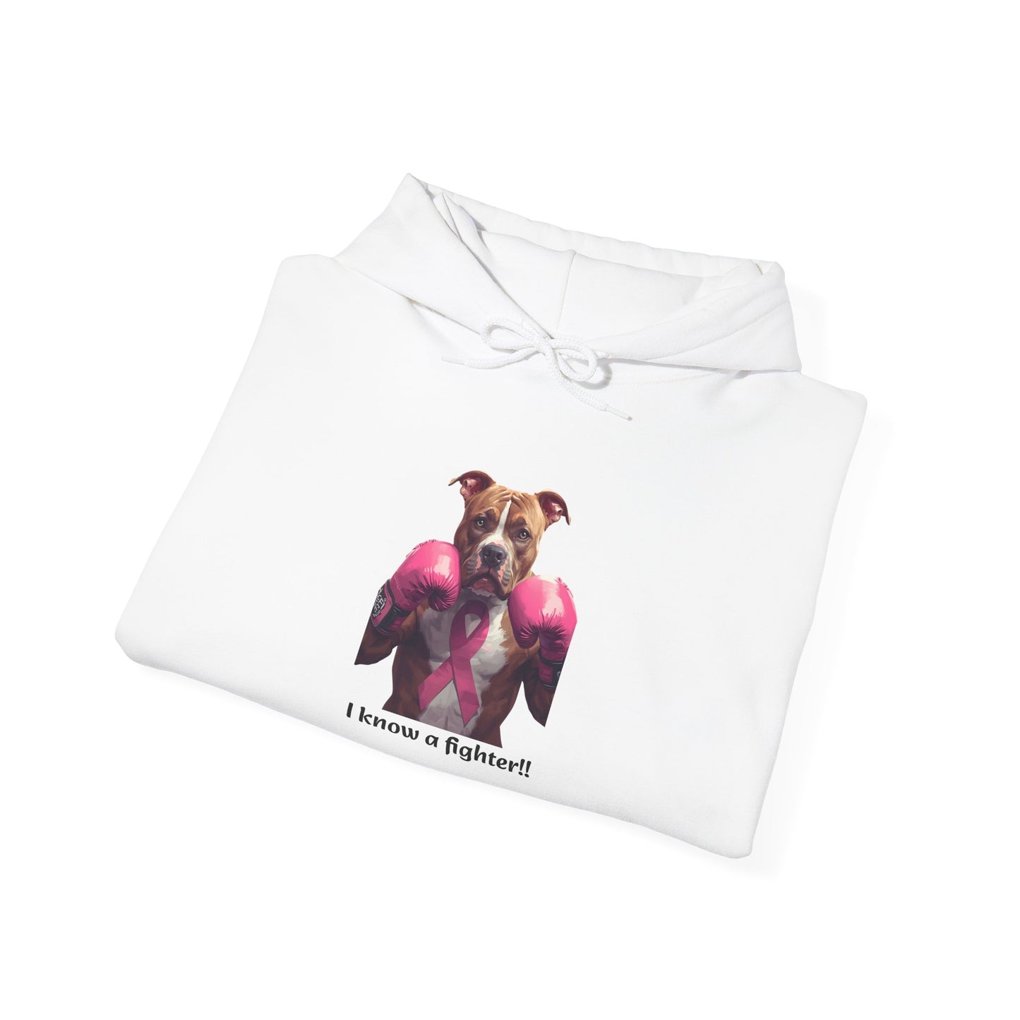Bully Fighter Cancer Survivor Hoodie — Support & Awareness Sweatshirt
