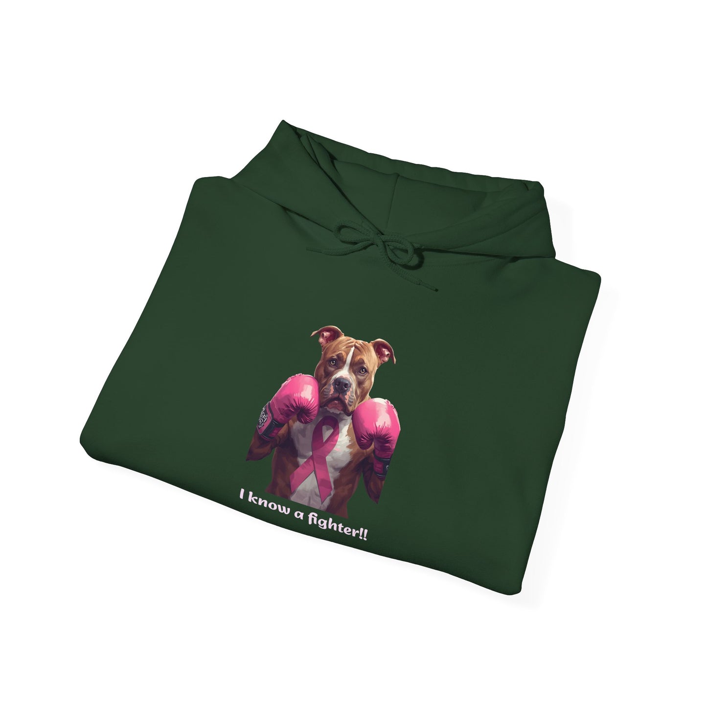 Bully Fighter Cancer Survivor Hoodie — Support & Awareness Sweatshirt