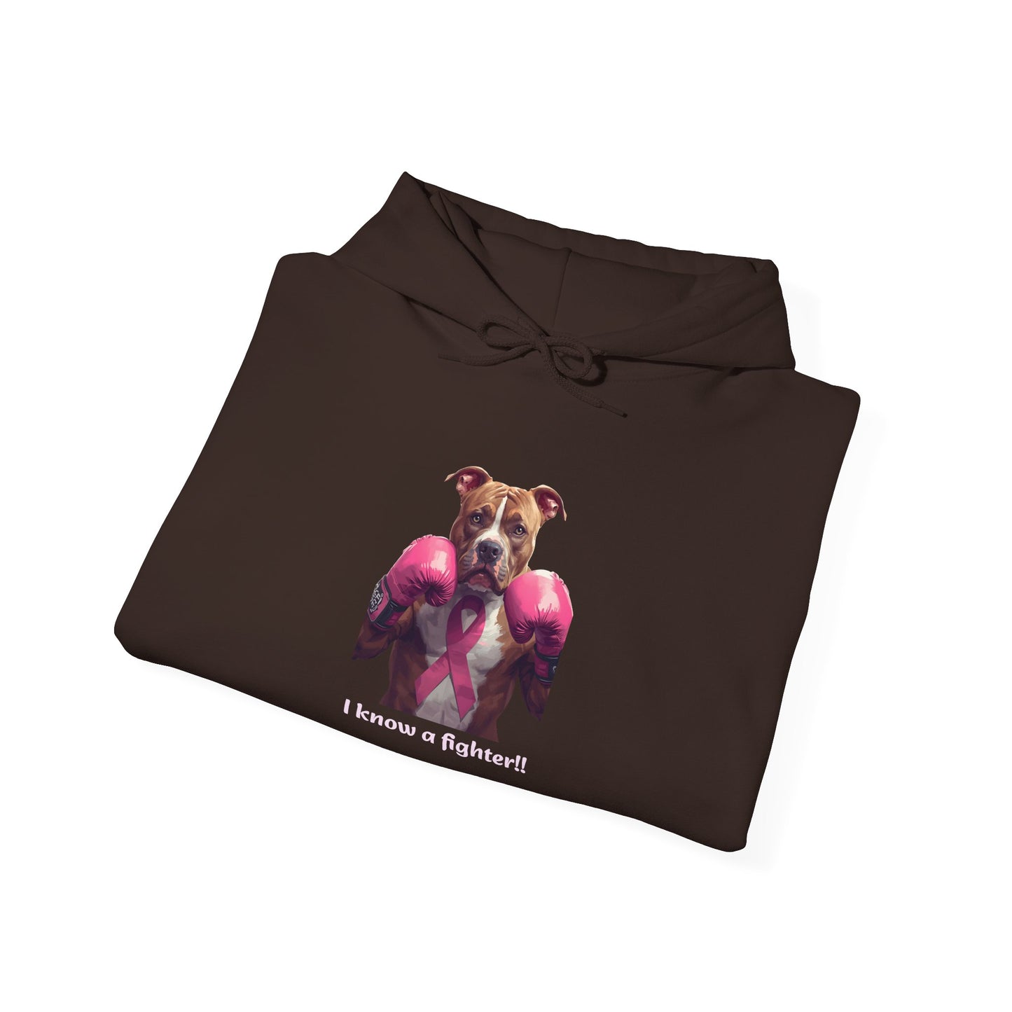 Bully Fighter Cancer Survivor Hoodie — Support & Awareness Sweatshirt